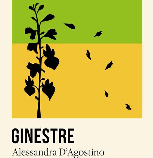 ginestre